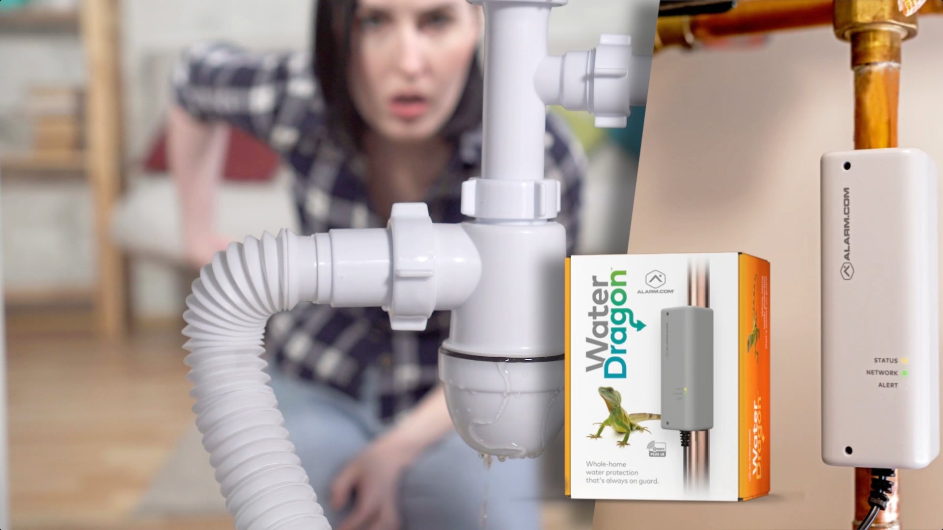 Introducing Alarm.com's Water Dragon